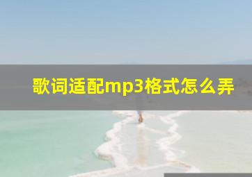 歌词适配mp3格式怎么弄