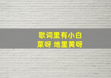 歌词里有小白菜呀 地里黄呀