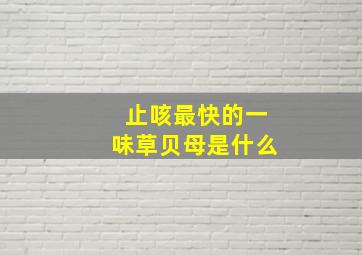 止咳最快的一味草贝母是什么