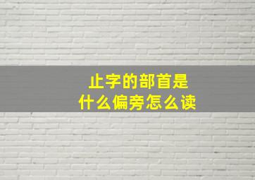 止字的部首是什么偏旁怎么读