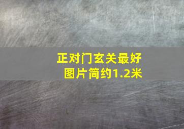 正对门玄关最好图片简约1.2米