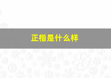 正楷是什么样