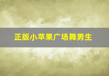 正版小苹果广场舞男生