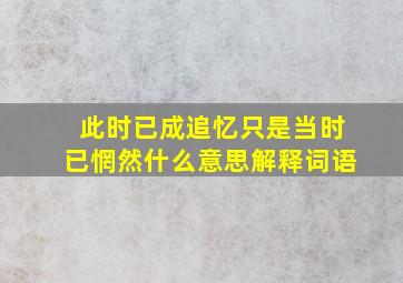 此时已成追忆只是当时已惘然什么意思解释词语