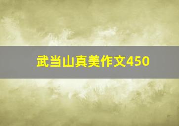 武当山真美作文450