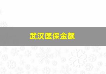 武汉医保金额