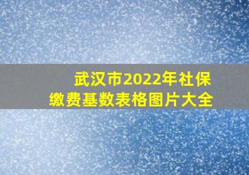 武汉市2022年社保缴费基数表格图片大全