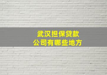 武汉担保贷款公司有哪些地方