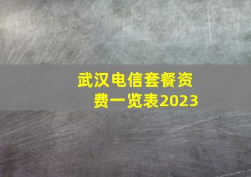 武汉电信套餐资费一览表2023