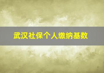 武汉社保个人缴纳基数