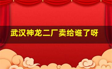 武汉神龙二厂卖给谁了呀