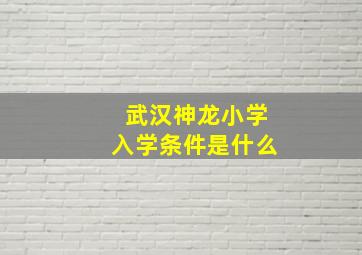 武汉神龙小学入学条件是什么