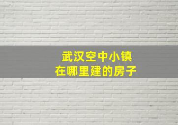 武汉空中小镇在哪里建的房子