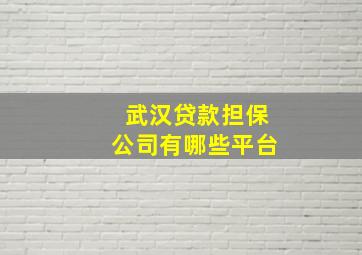 武汉贷款担保公司有哪些平台