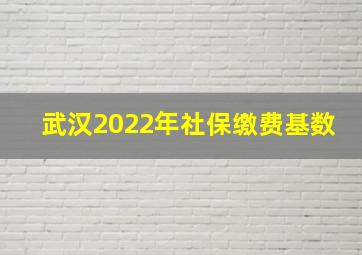 武汉2022年社保缴费基数