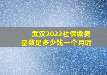 武汉2022社保缴费基数是多少钱一个月呢