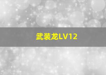 武装龙LV12