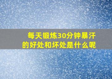 每天锻炼30分钟暴汗的好处和坏处是什么呢