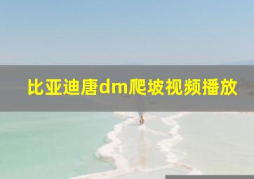 比亚迪唐dm爬坡视频播放