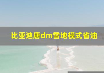 比亚迪唐dm雪地模式省油