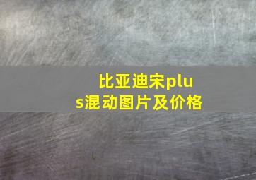 比亚迪宋plus混动图片及价格