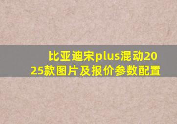 比亚迪宋plus混动2025款图片及报价参数配置