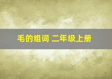 毛的组词 二年级上册