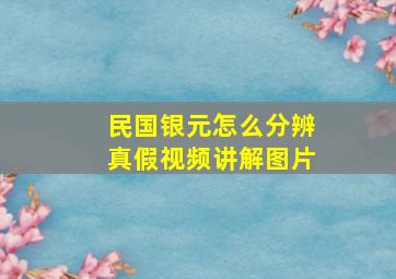 民国银元怎么分辨真假视频讲解图片