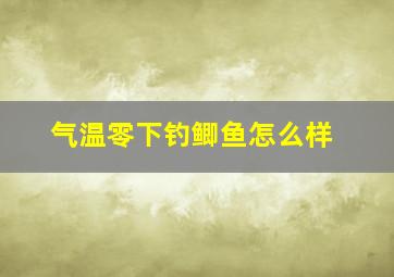 气温零下钓鲫鱼怎么样