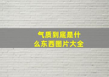 气质到底是什么东西图片大全