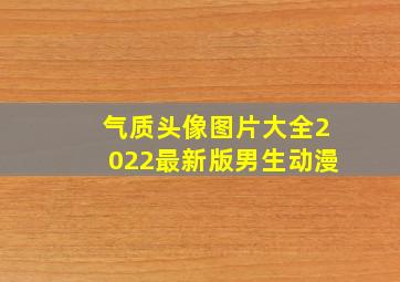 气质头像图片大全2022最新版男生动漫