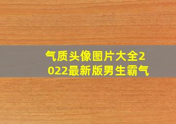 气质头像图片大全2022最新版男生霸气