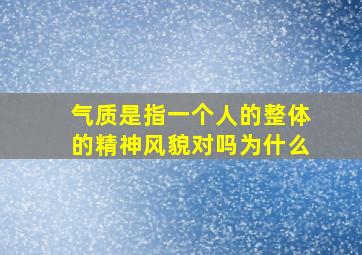 气质是指一个人的整体的精神风貌对吗为什么