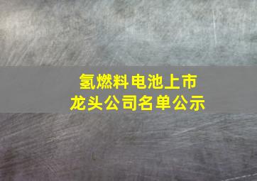 氢燃料电池上市龙头公司名单公示