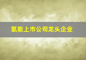 氢能上市公司龙头企业