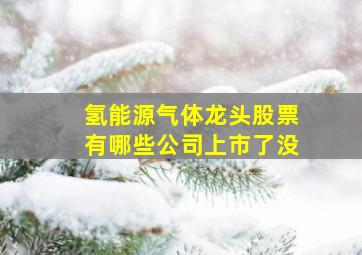 氢能源气体龙头股票有哪些公司上市了没