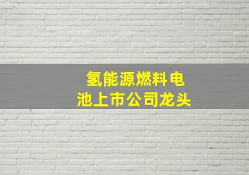 氢能源燃料电池上市公司龙头