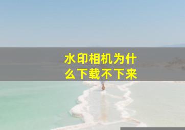 水印相机为什么下载不下来