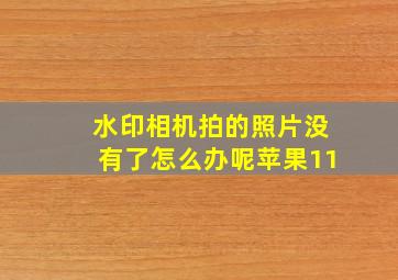 水印相机拍的照片没有了怎么办呢苹果11