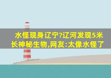 水怪现身辽宁?辽河发现5米长神秘生物,网友:太像水怪了