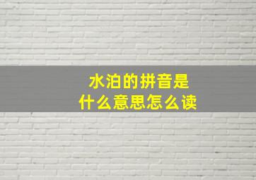 水泊的拼音是什么意思怎么读