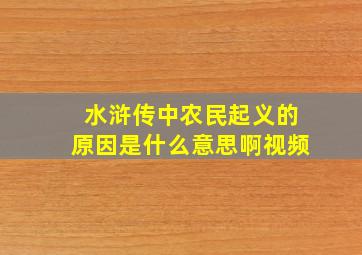 水浒传中农民起义的原因是什么意思啊视频