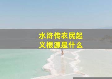 水浒传农民起义根源是什么