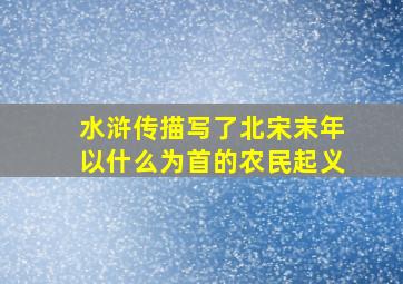 水浒传描写了北宋末年以什么为首的农民起义