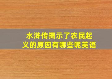 水浒传揭示了农民起义的原因有哪些呢英语