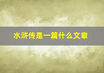 水浒传是一篇什么文章