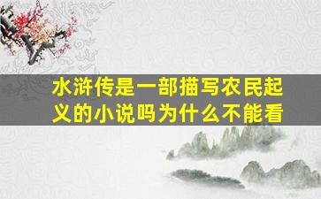 水浒传是一部描写农民起义的小说吗为什么不能看