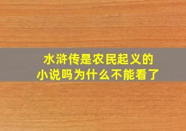 水浒传是农民起义的小说吗为什么不能看了