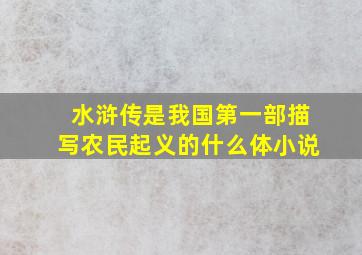 水浒传是我国第一部描写农民起义的什么体小说