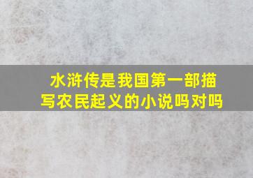 水浒传是我国第一部描写农民起义的小说吗对吗